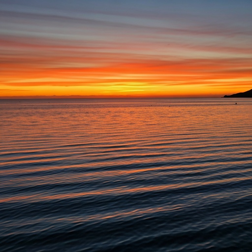 Discover the Untamed 
Beauty of Torio