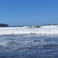 IMG_1174